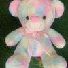 50cm Multicolor Sitting Teddy