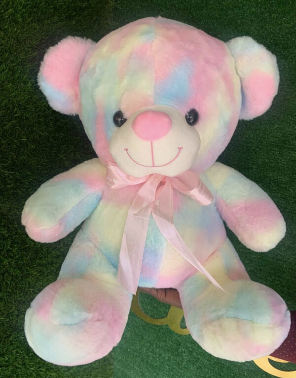 50cm Multicolor Sitting Teddy