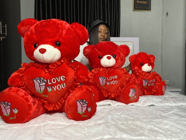 Red Love You Teddy - Image 6