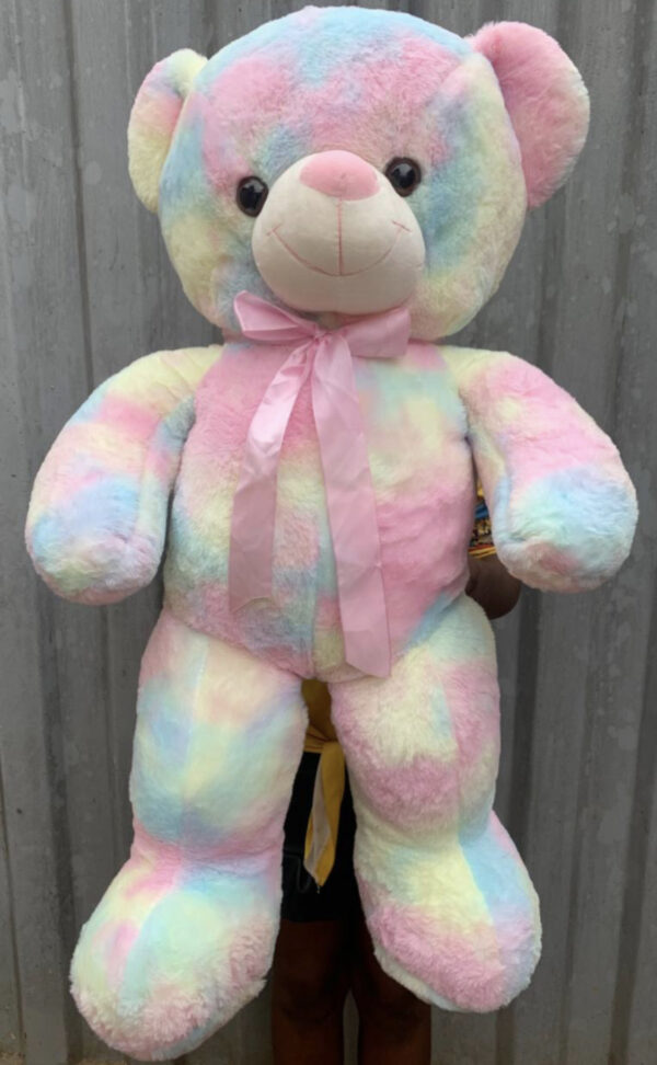 100cm Multicolor Teddy