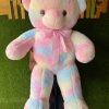 Multicolor Teddy(80cm)