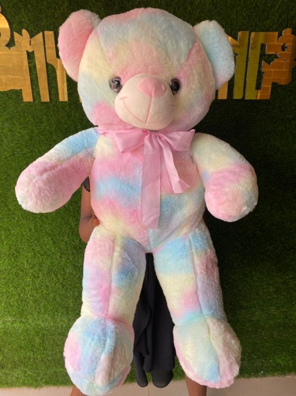 Multicolor Teddy(80cm)