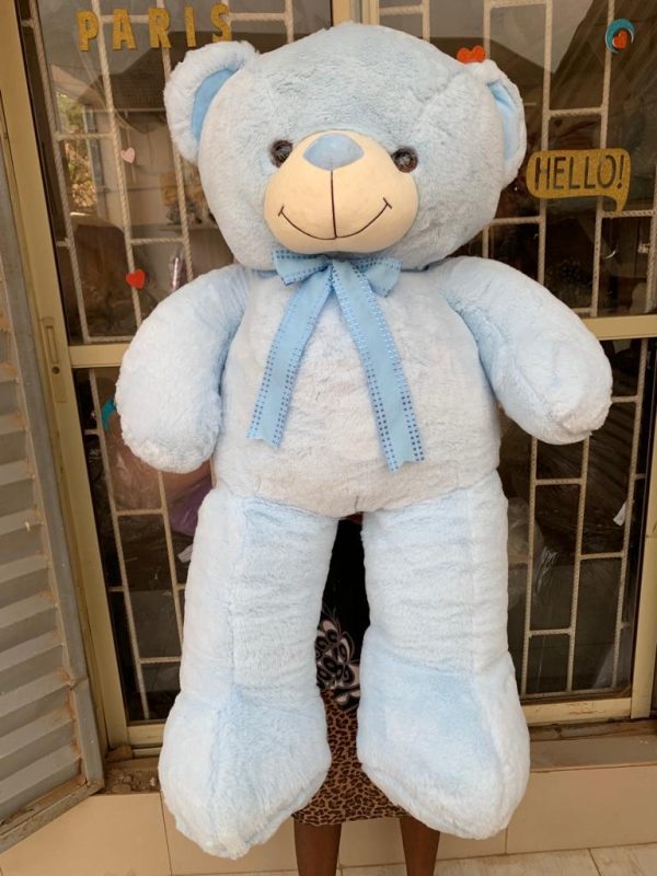 Paws Teddy(100cm) - Image 4