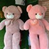 Teddy with Pillow Love(150cm)
