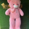 Teddy with Pillow Love(150cm) - Image 3