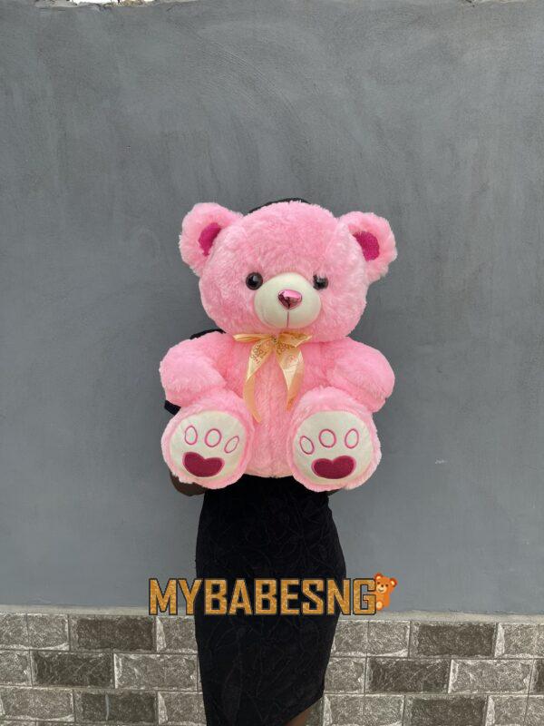 Plush Teddy 50cm