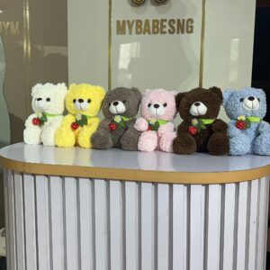 25cm Strawberry Teddy